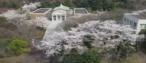 外国語学部長室（7階）からの4月2日の眺め