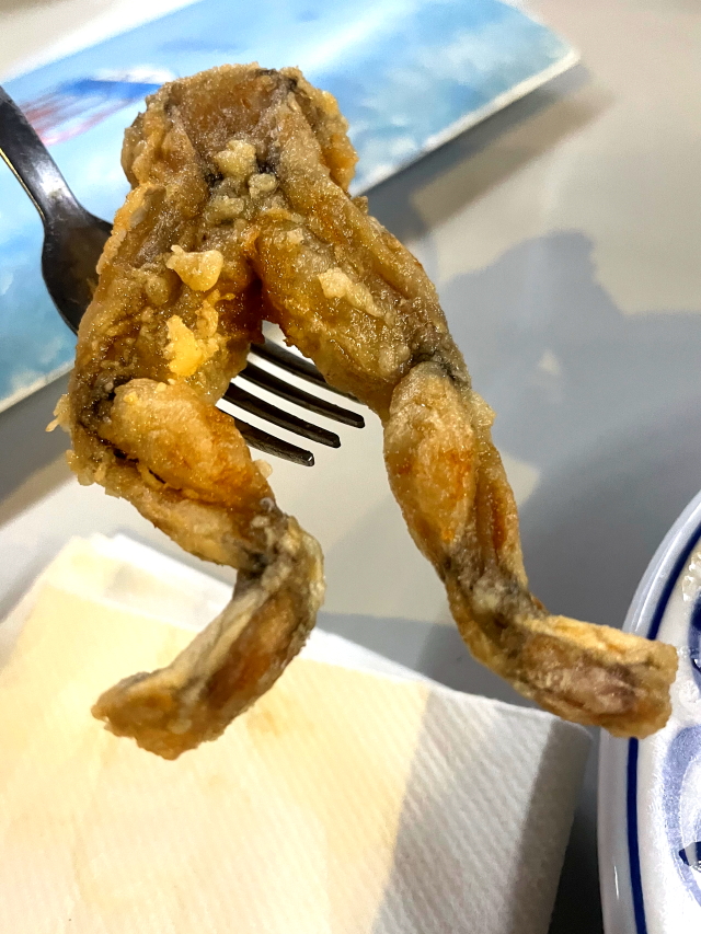 サラマンカ大学附属日西文化センターに濵松ゼミ作成の「かるた」寄贈7