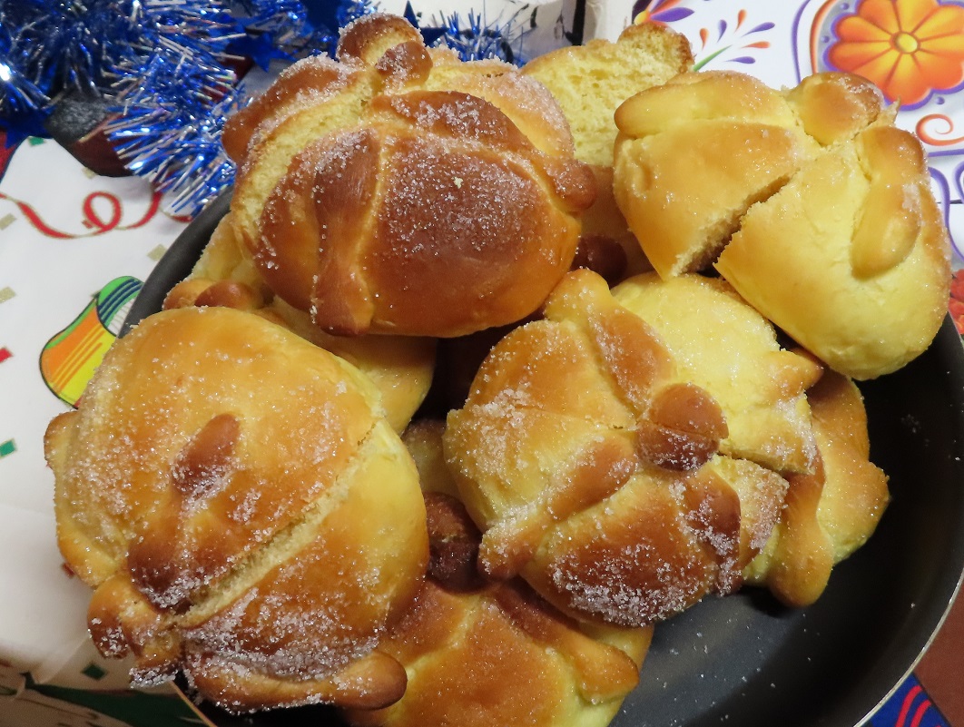 20241030_gozawakeisuke12