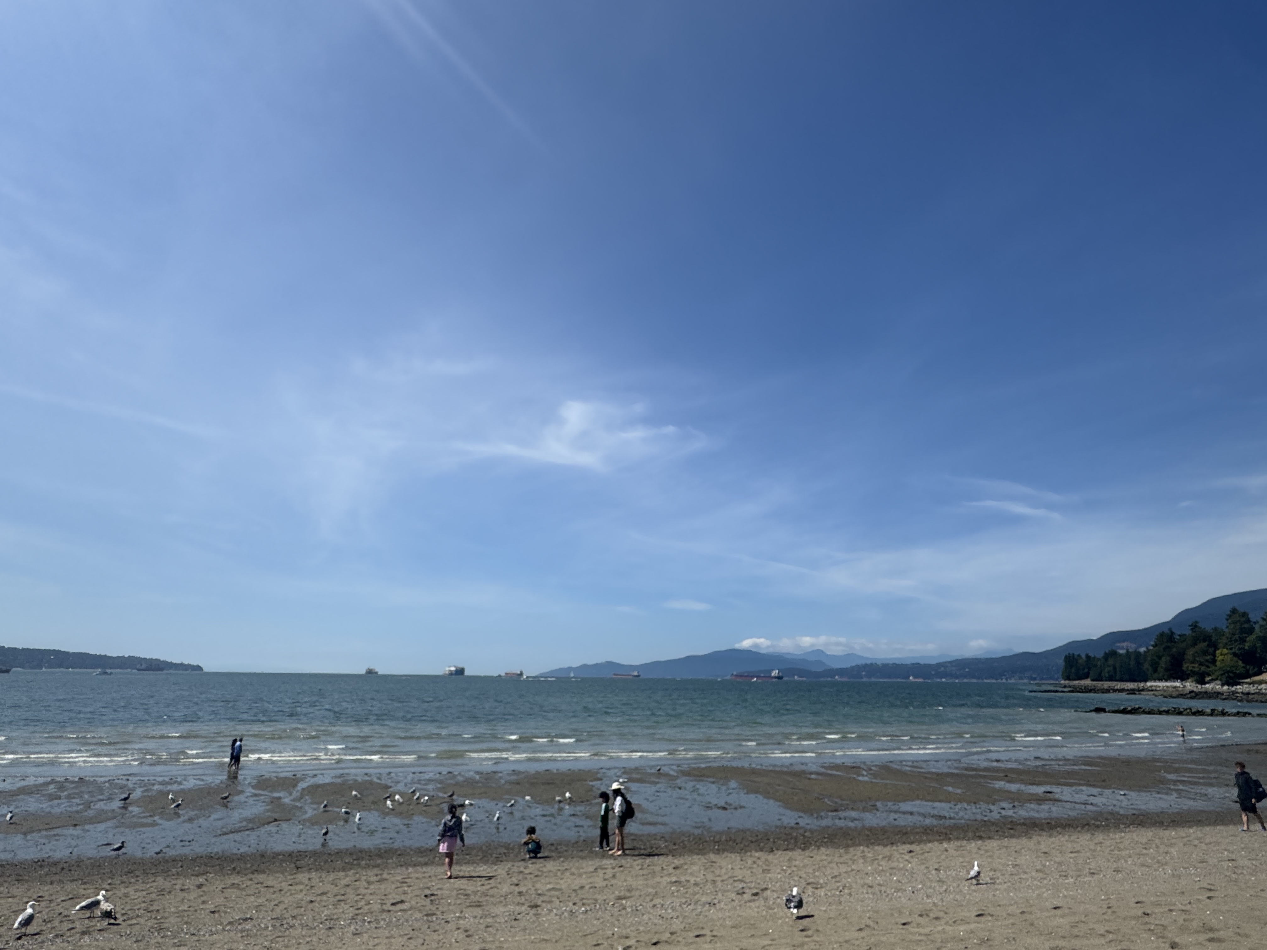 20251008_hasegawa.h_04