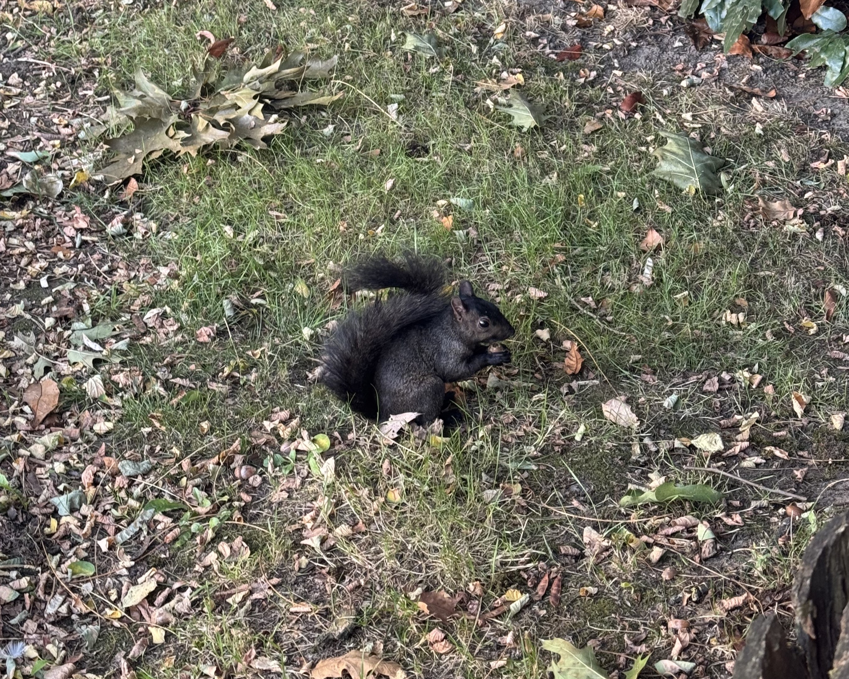 20251008_hasegawa.h_07