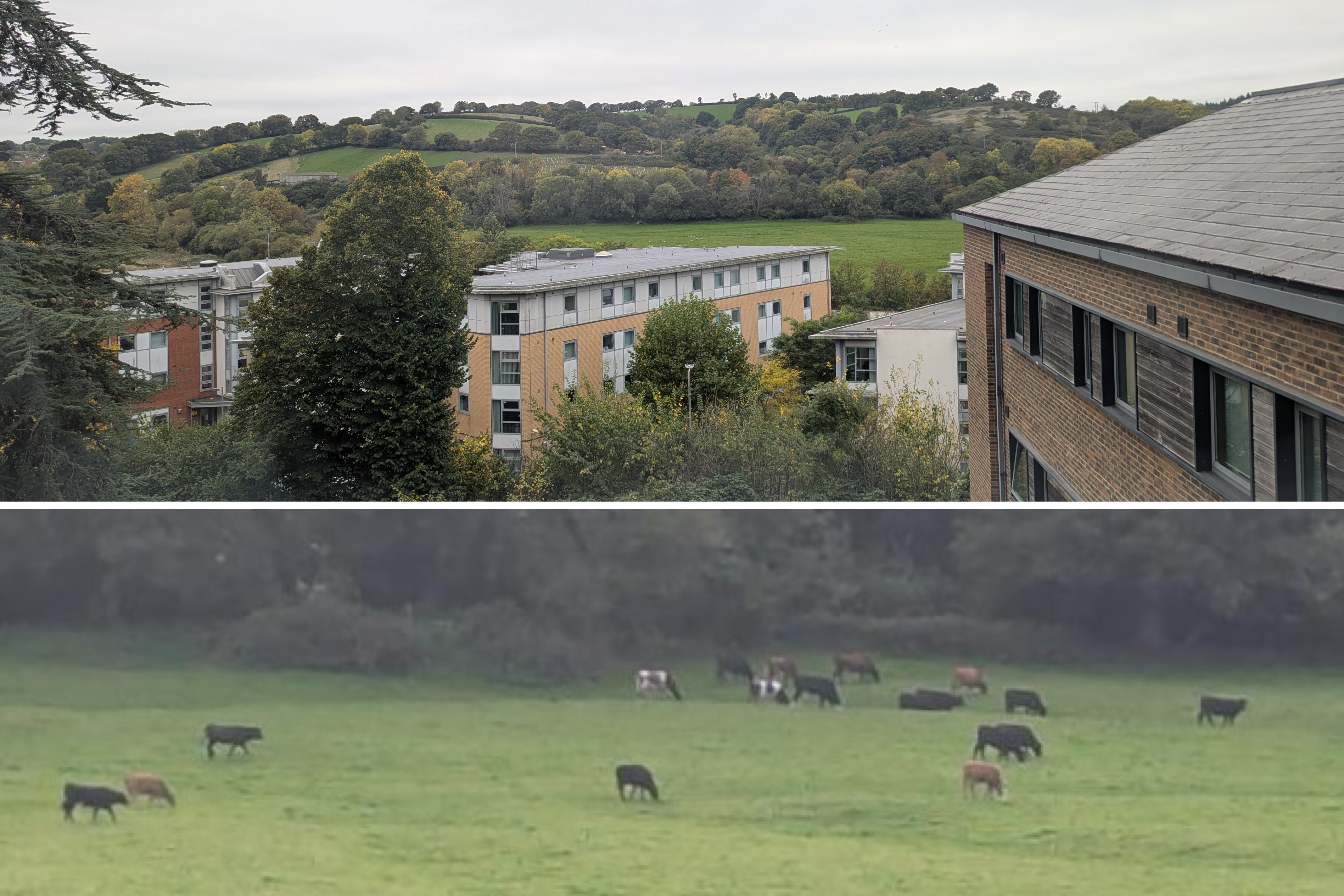 20251030_hasegawa.h_0102