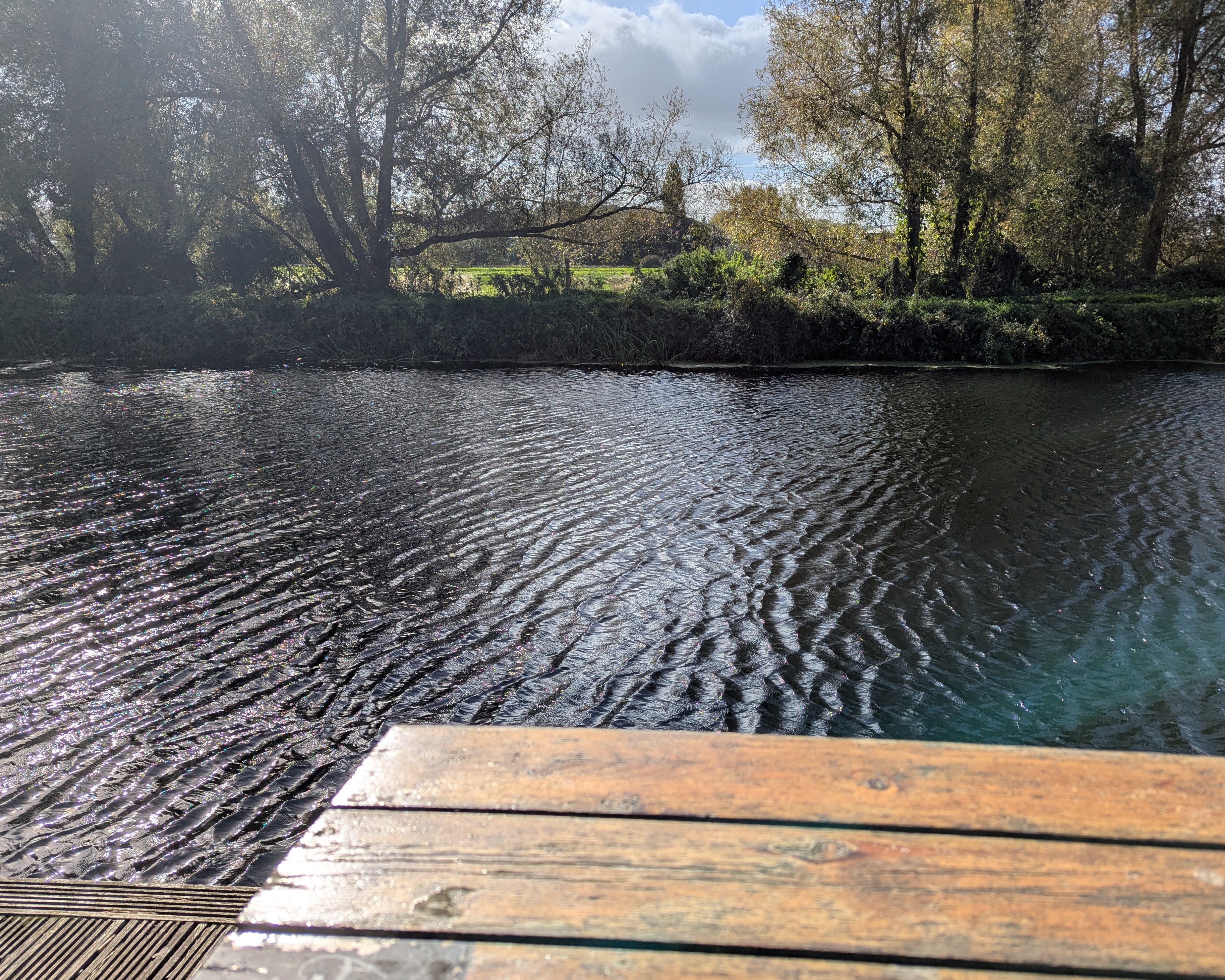 20251030_hasegawa.h_05