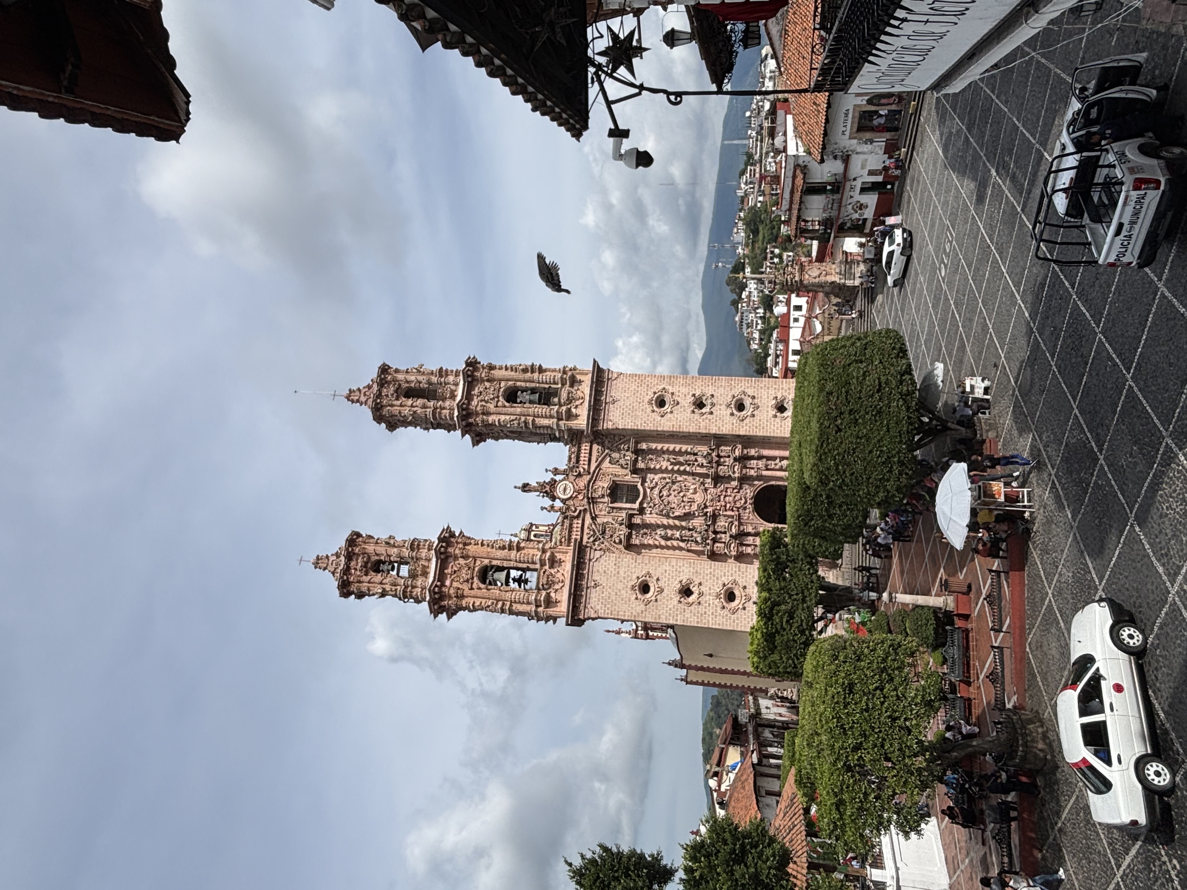 20260317_gozawa.k_02