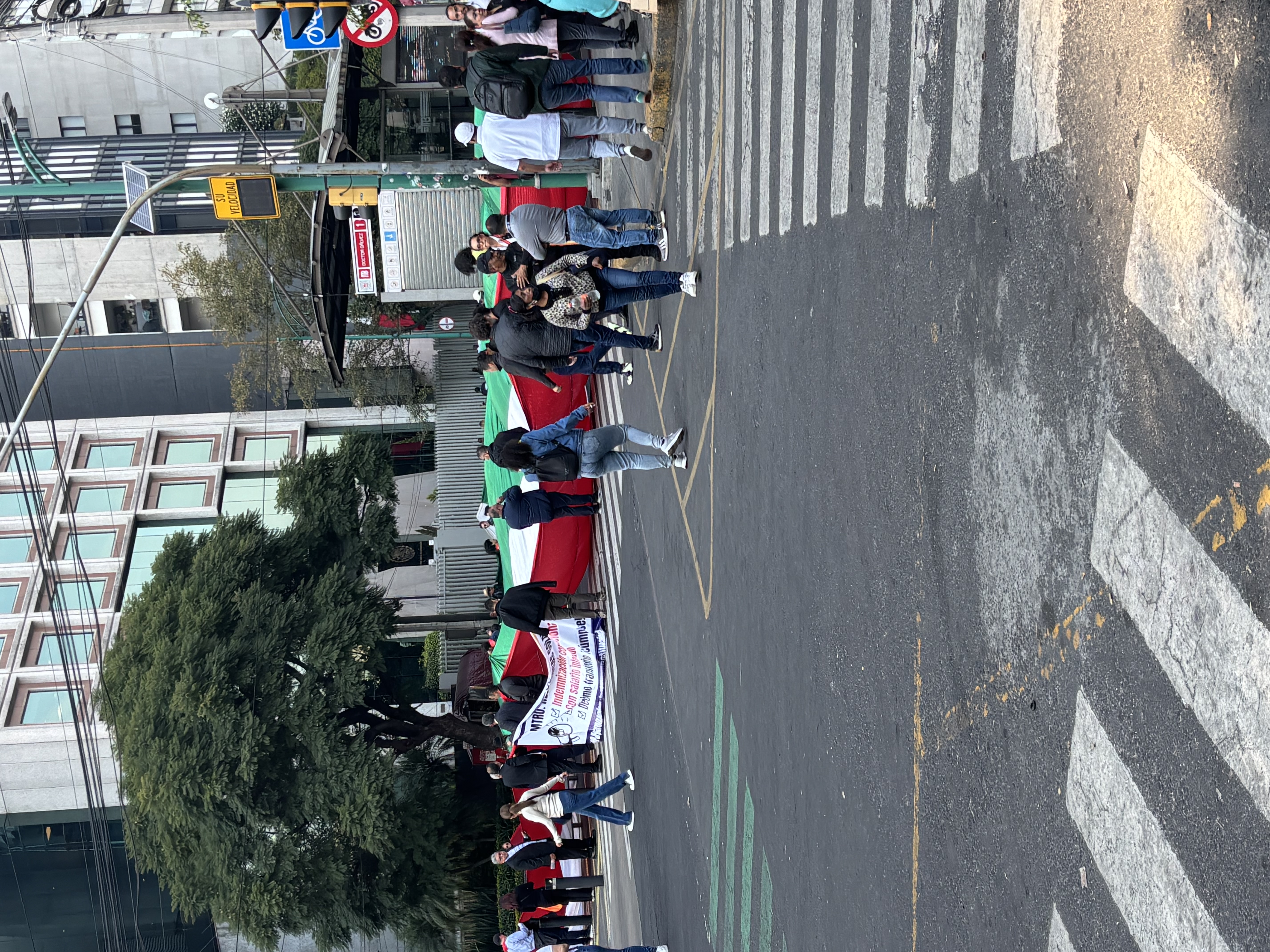 20260317_gozawa.k_03